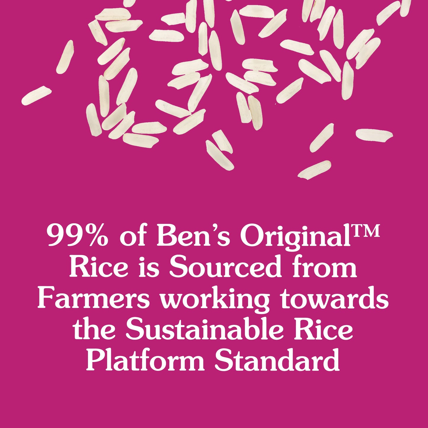BEN'S ORIGINAL Ready Rice Whole Grain Brown Rice, Easy Dinner Side, 8.8 oz Pouch