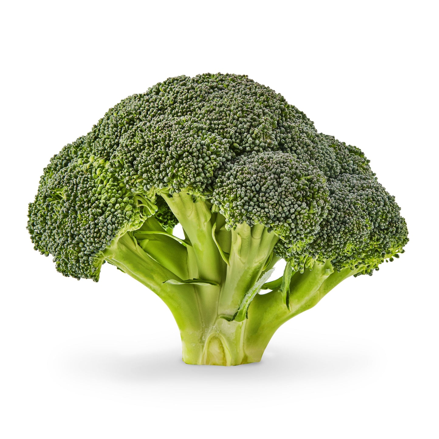 Fresh Broccoli Crowns