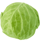 Cabbage